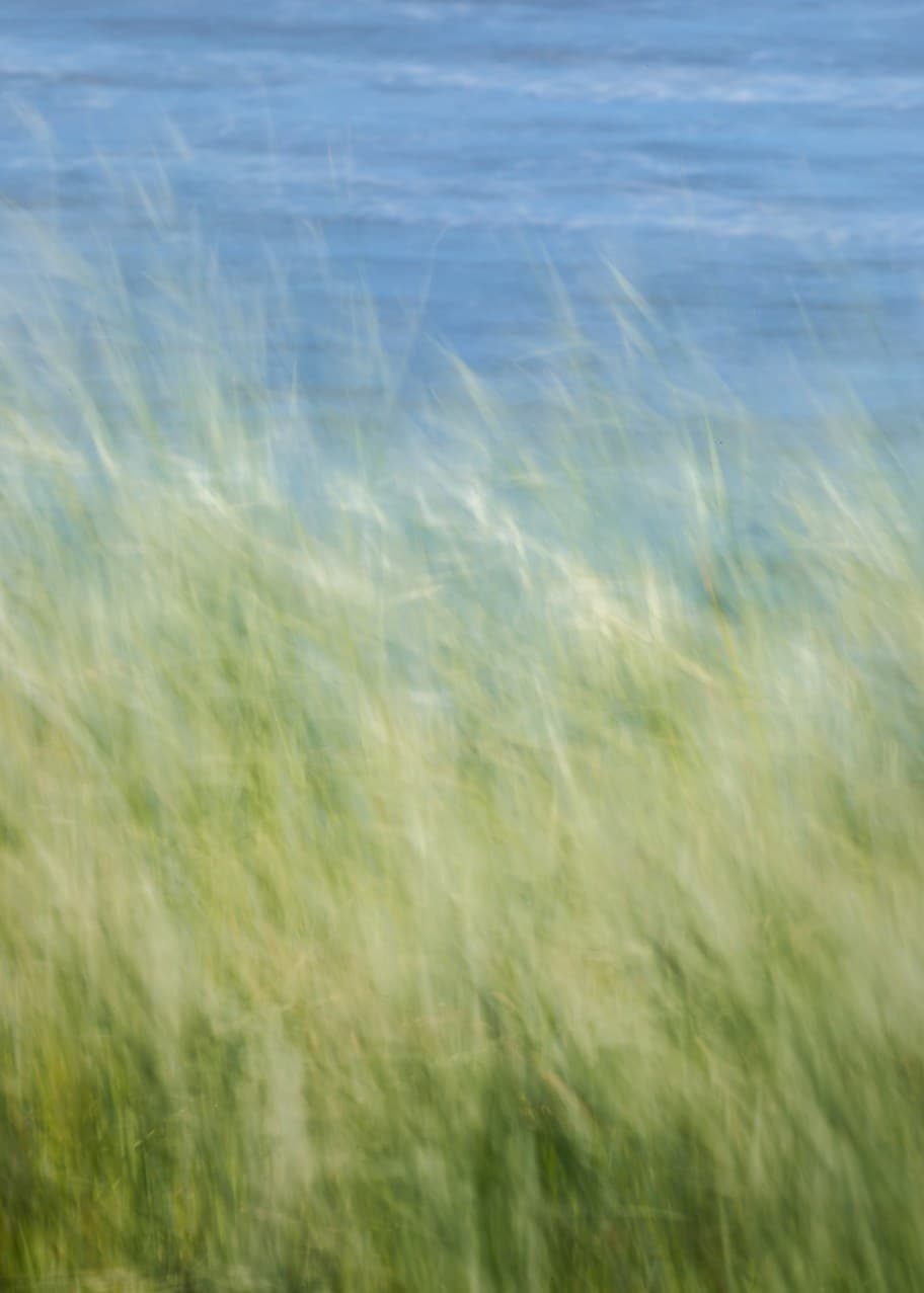 Grass CGI